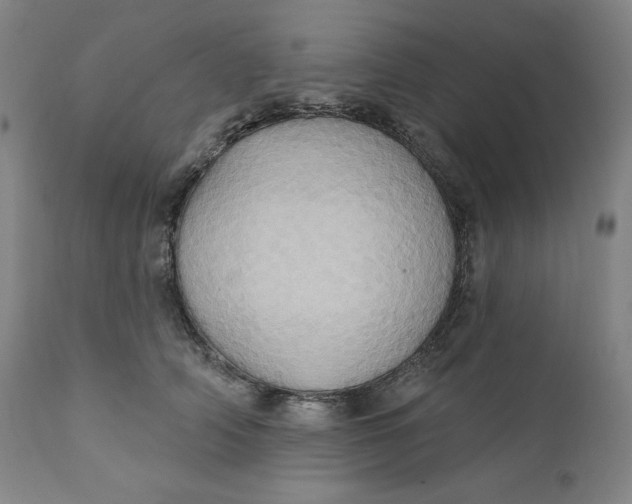 X0000110680706200907021910