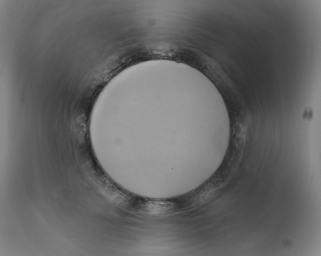 X0000110680707200907021910