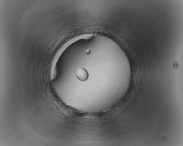 X0000110680708200907021910