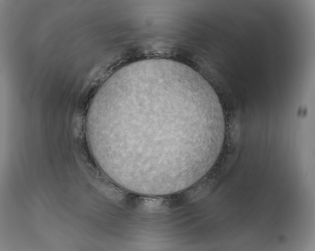 X0000110680709200907021910