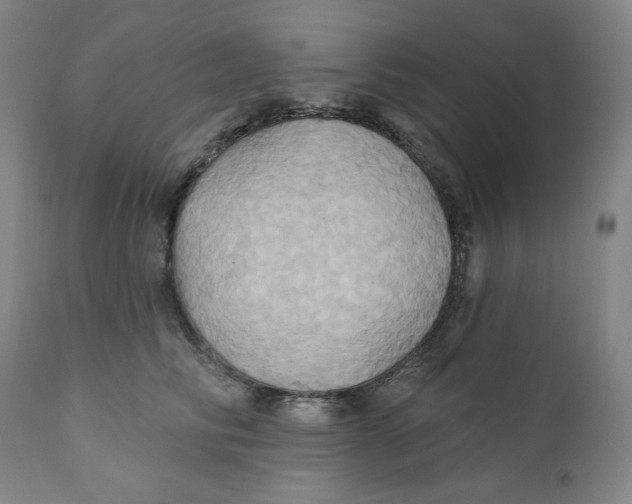 X0000110680710200907021910