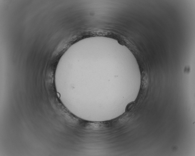 X0000110680713200907021910