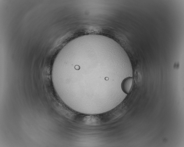 X0000110680714200907021910