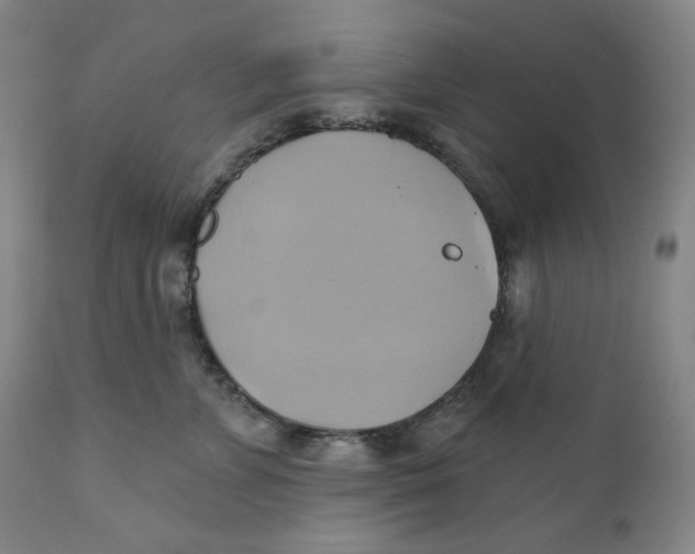 X0000110680715200907021910