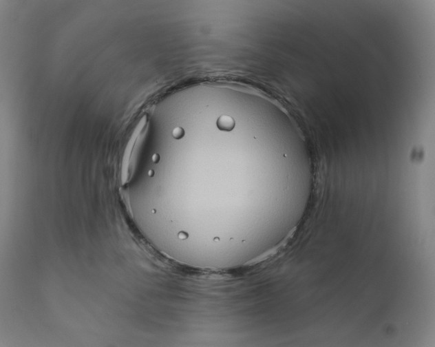 X0000110680716200907021910