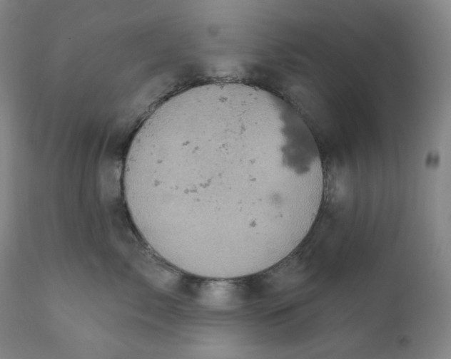 X0000110680717200907021910