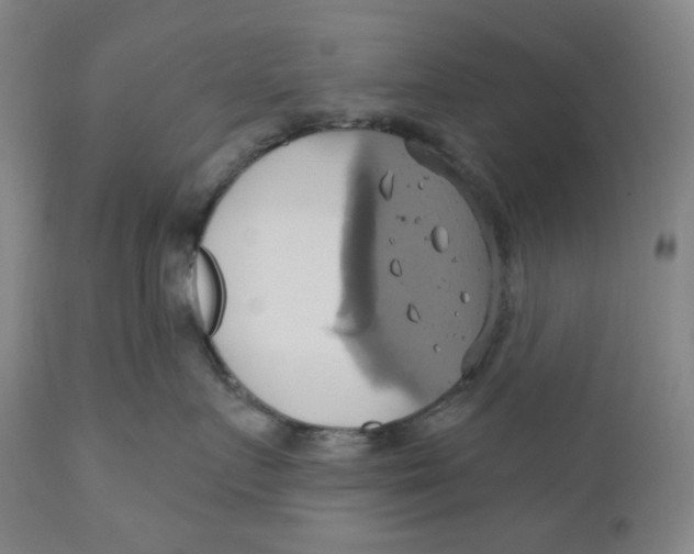 X0000110680719200907021910