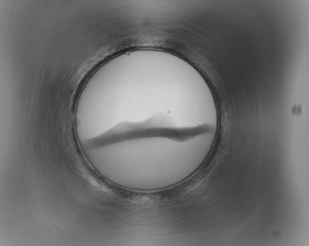 X0000110680721200907021909