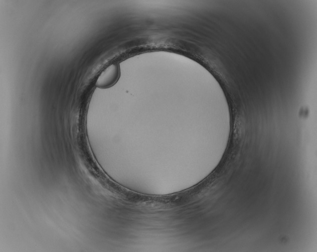 X0000110680722200907021909