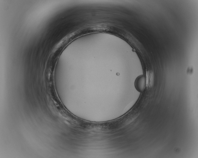 X0000110680723200907021909