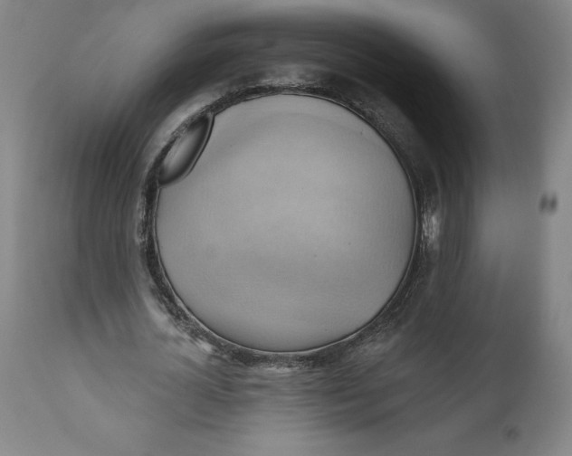 X0000110680724200907021909