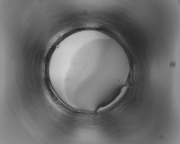 X0000110680726200907021909