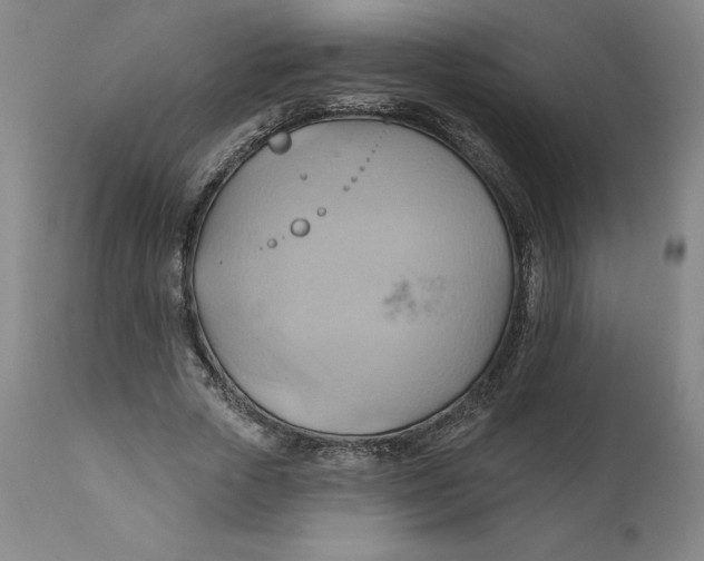 X0000110680729200907021910