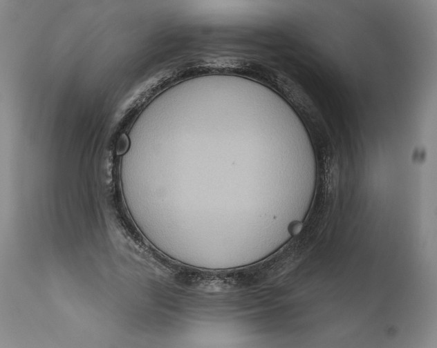 X0000110680731200907021910