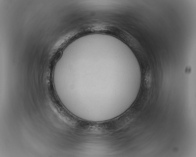 X0000110680732200907021910