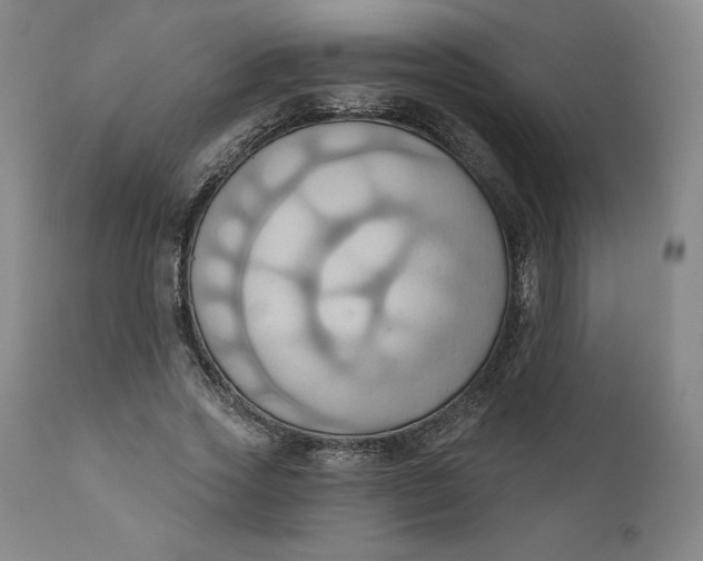 X0000110680733200907021910