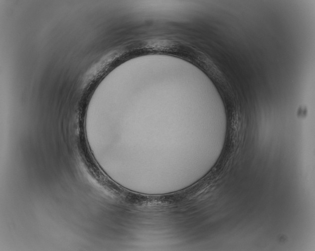 X0000110680734200907021910