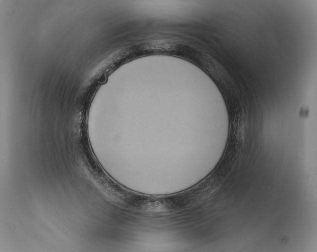 X0000110680735200907021910