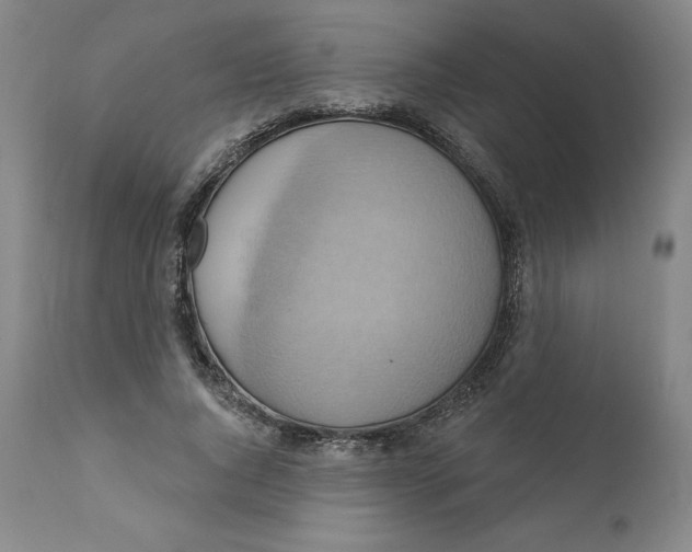 X0000110680736200907021910