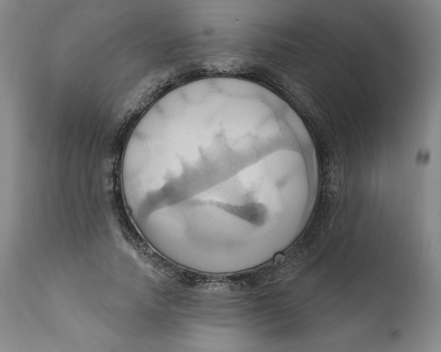 X0000110680738200907021910