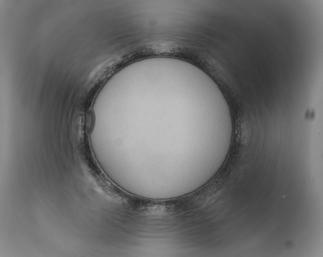 X0000110680740200907021910