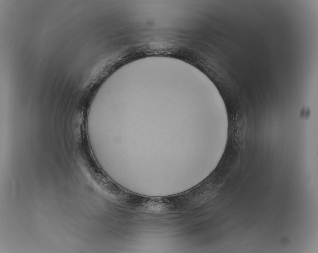 X0000110680742200907021910