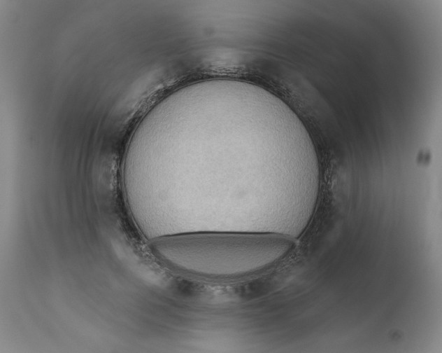 X0000110680744200907021910