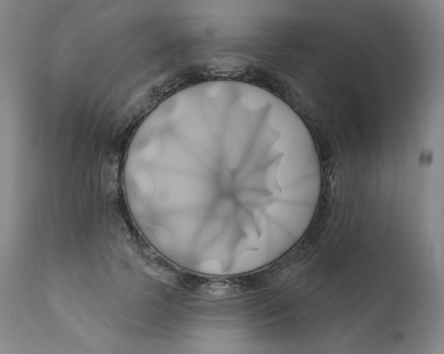 X0000110680745200907021910