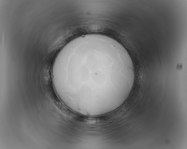 X0000110680746200907021910