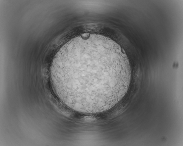 X0000110680749200907021910