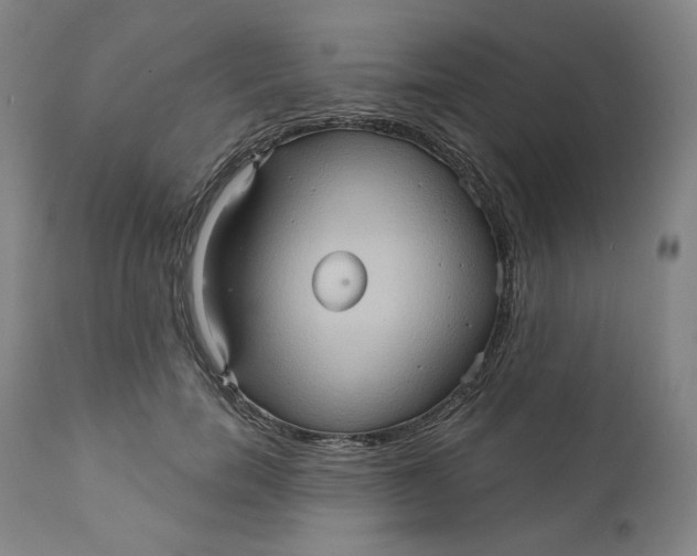 X0000110680750200907021910