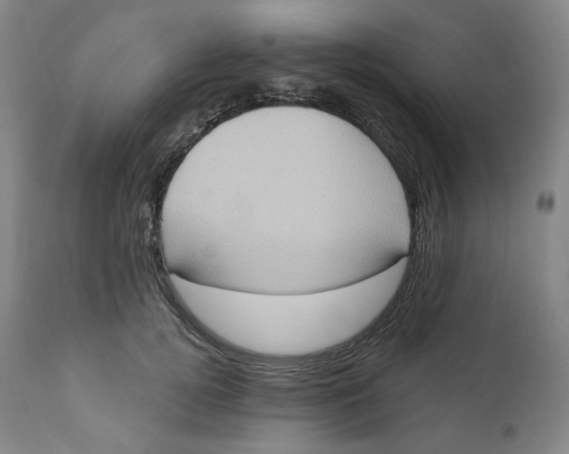 X0000110680752200907021910