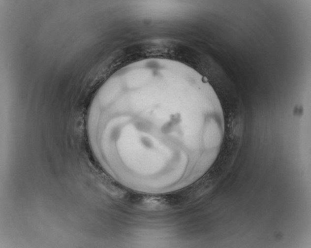 X0000110680753200907021910