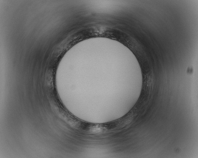 X0000110680754200907021910