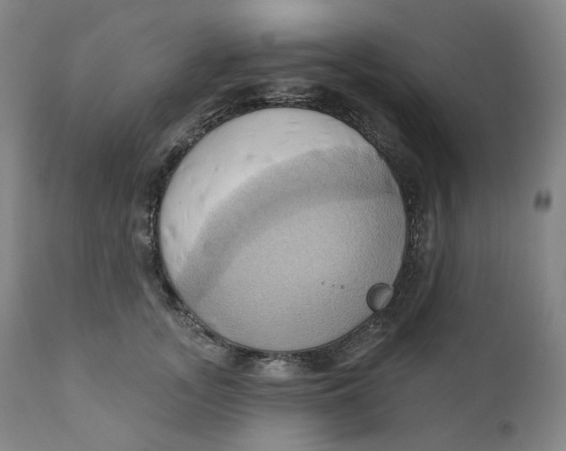 X0000110680755200907021910