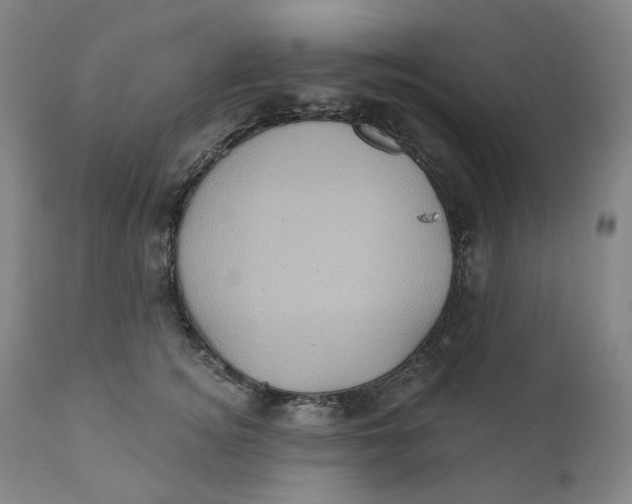 X0000110680756200907021910