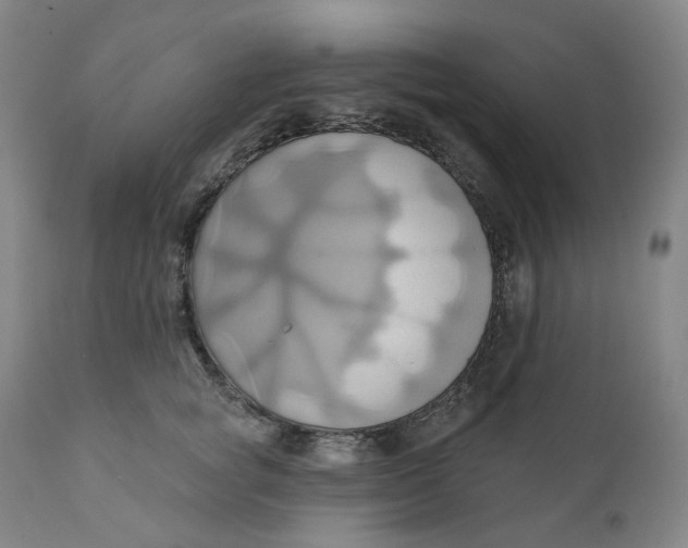 X0000110680757200907021910