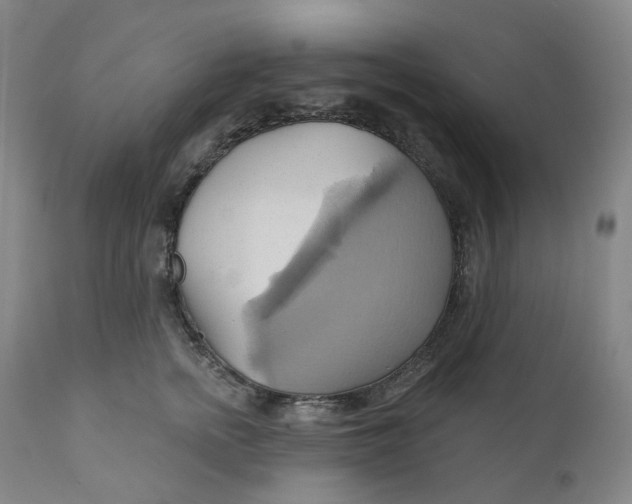 X0000110680758200907021910