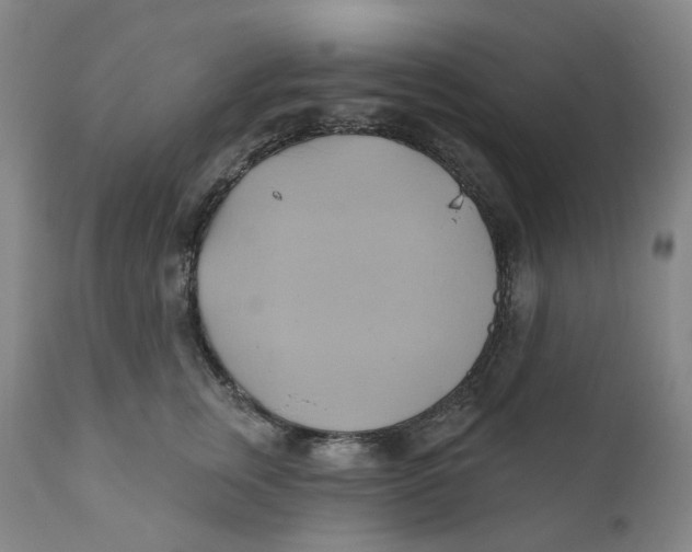 X0000110680759200907021910