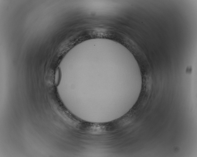 X0000110680760200907021910