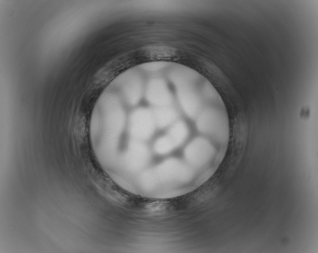 X0000110680761200907021910