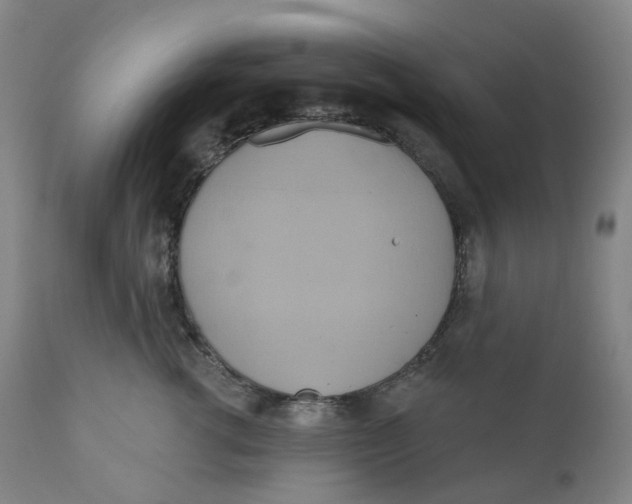 X0000110680762200907021910