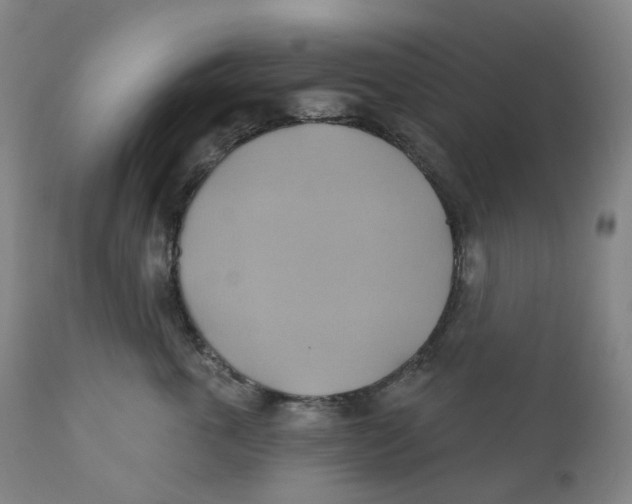 X0000110680763200907021910