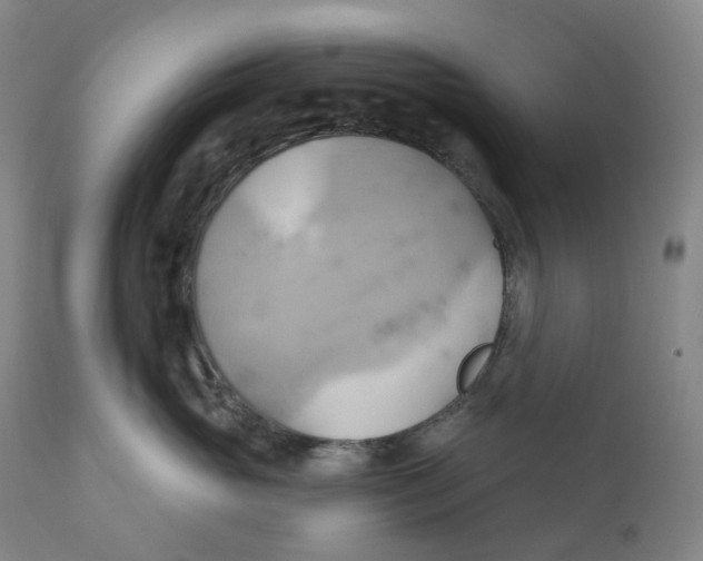 X0000110680765200907021910