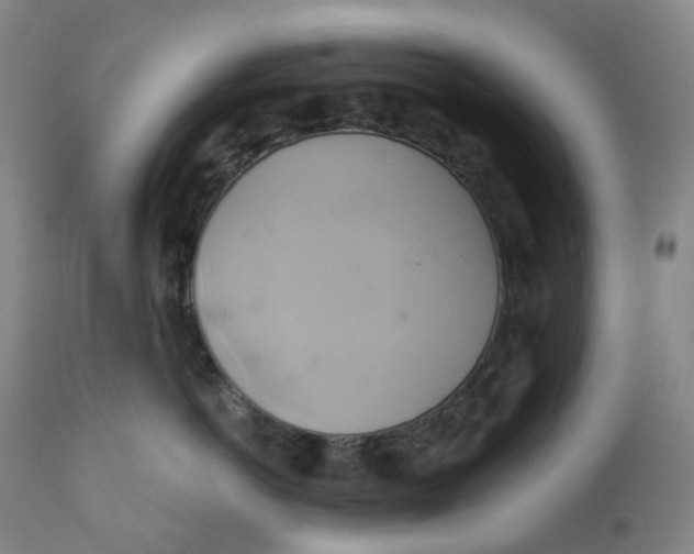 X0000110680766200907021910