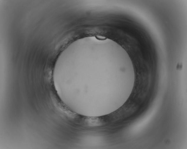 X0000110680767200907021910