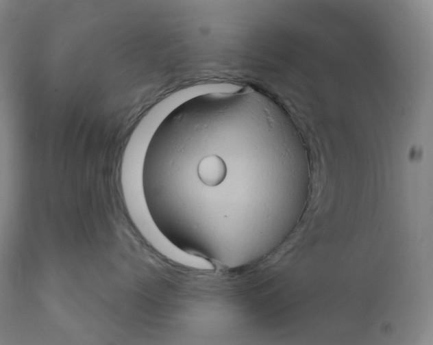 X0000110680768200907021910