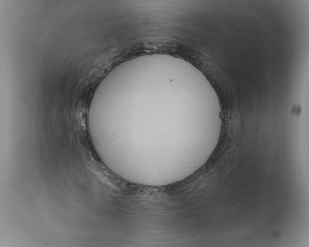 X0000110680770200907021909