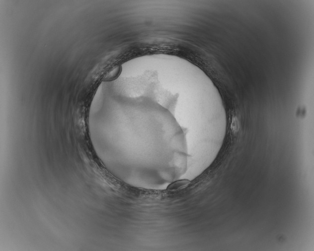 X0000110680771200907021909