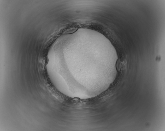 X0000110680772200907021909